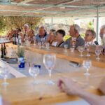 Wine tasting in Rhodes, inside the vineyards with the Producer - Visiting the Vineyards and Estate in Rhodes