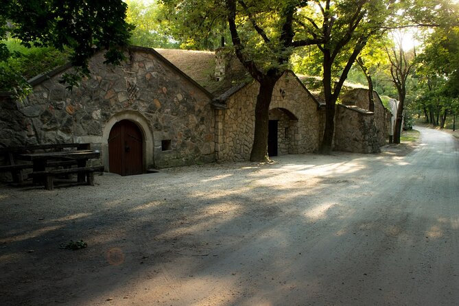Wine Tasting in the Countryside from Budapest - Tasting Hungarian Wines with Local Food Pairings