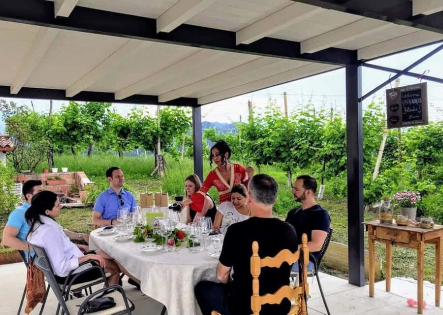 Wine tasting in the family cellar - The Opportunity to Purchase Wines On-Site