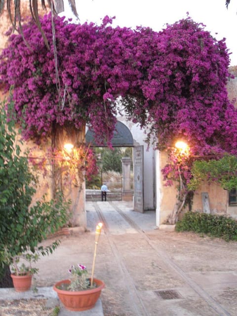 Wine Tasting in the historic baglio Florio Adamo - Tasting Three Distinctive Wines from Sicily
