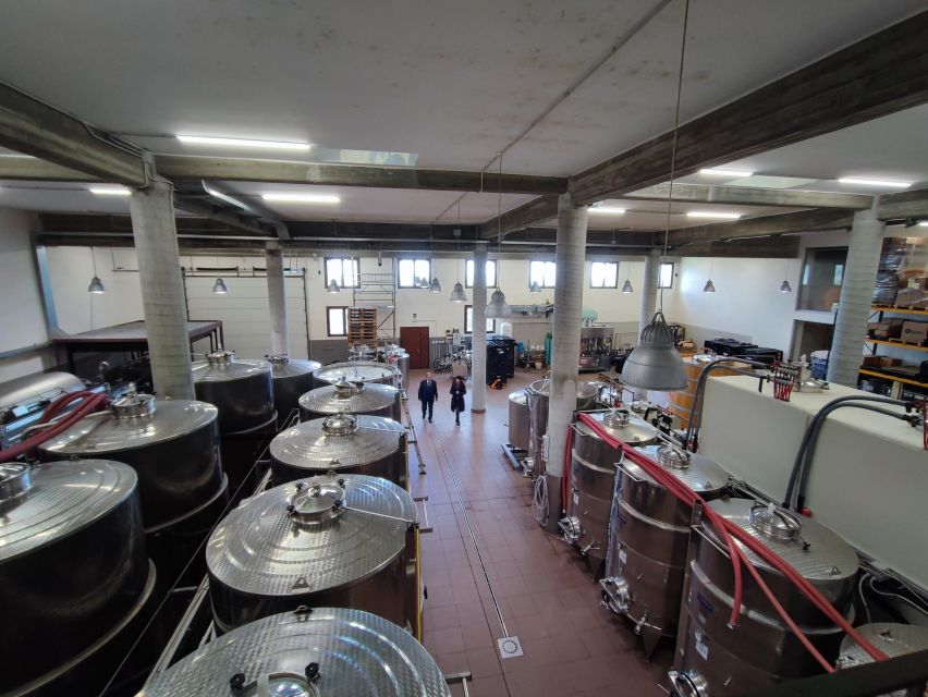 Wine Tasting in the South Slope of Etna - Tasting the Diversity of Etna’s Wines