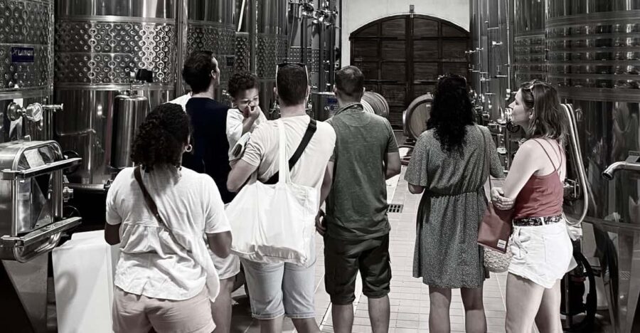 Wine Tasting Saint-Florent & Patrimonio - Key Points