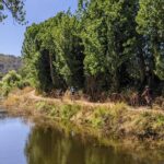 Wine Tasting Tour - Starting Point in Ericeira with Easy Access