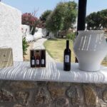 Wine Tasting Tour at a traditional farm in Mykonos - Sampling Four Unique Greek Wines