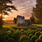 Wine tasting tour in Loire Valley with castle visits and lunch - Convenient Door-to-Door Pickup from Paris Hotels