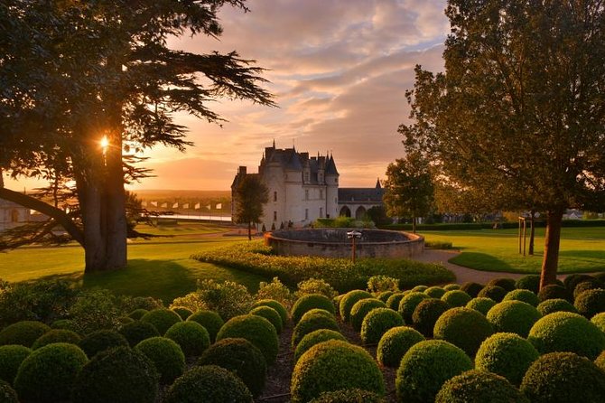 Wine tasting tour in Loire Valley with castle visits and lunch - Convenient Door-to-Door Pickup from Paris Hotels