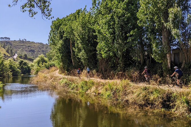 Wine Tasting Tour - Starting Point in Ericeira with Easy Access