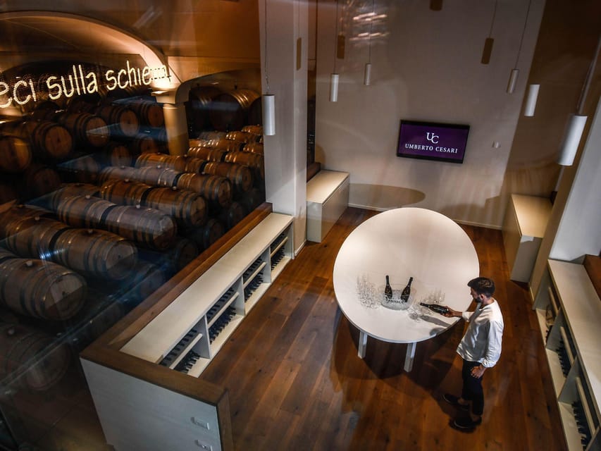 Wine Tasting with Food Pairing near Bologna - Visiting the Winery in Castel San Pietro Terme