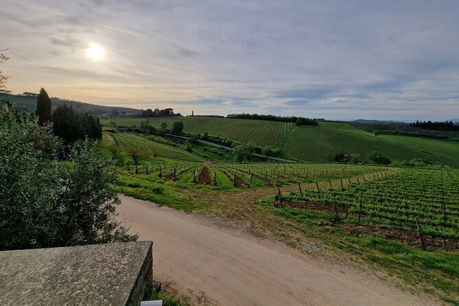 Wine Tour 6 hours 2 top wineries of Chianti Classico Limo Service - Start in Florence with a Luxurious Private Pickup