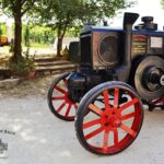 Wine Tour and Tasting at Le Marche's Oldest Wine Estate - The Tasting Experience and Food Pairings