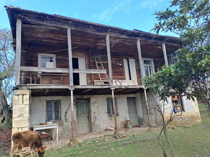 Wine Tour by Winemaker - Tasting Five Varieties of Natural Wine