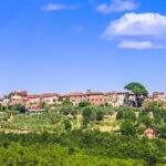 Wine Tour in the Countryside of Lucca with Lunch - with Minivan - Visiting a Tuscan Farm: A Step Back in Time