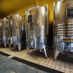 Wine Tour & Tasting of 6 Wines  Le Macchie, near Rome - Visiting the 15th Century Cellar in Castelfranco