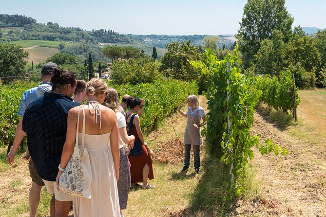 Wine Tour with Lunch and Wine Tasting - The Tasting of Five Estate Wines and Olive Oil