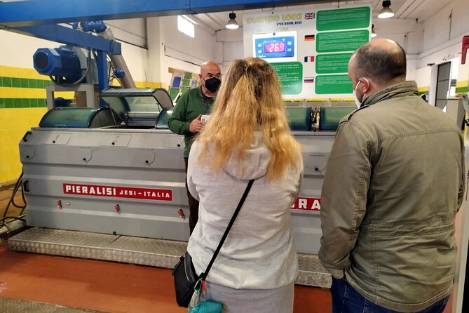 Winery And Oil Mill Tasting Tour - Visiting the Olive Oil Museum and Modern Mill