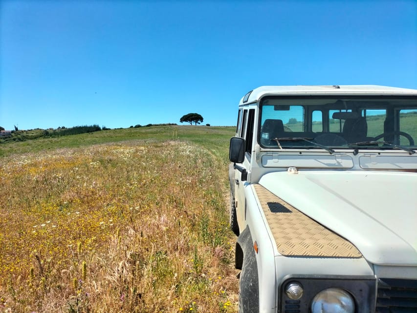 Winery, Tastings & 4WD Vineyards: Half-Day Trip from Lisbon - Pick-up and Transportation from Lisbon