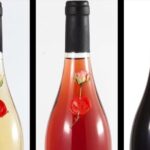 Winery Tour and Tasting in Abruzzo - Learning from a Knowledgeable Guide with a Friendly Approach