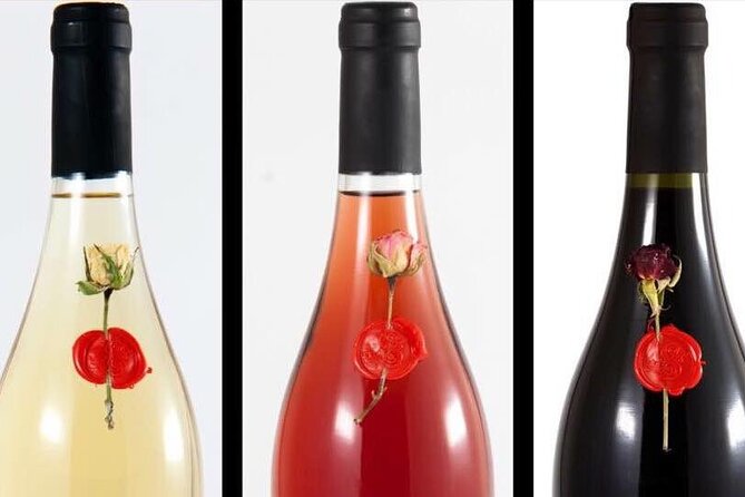 Winery Tour and Tasting in Abruzzo - Learning from a Knowledgeable Guide with a Friendly Approach