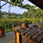 Winery Tour and Tasting in Corfu` with the Sommelier - Guided Walk Through the Winery Process