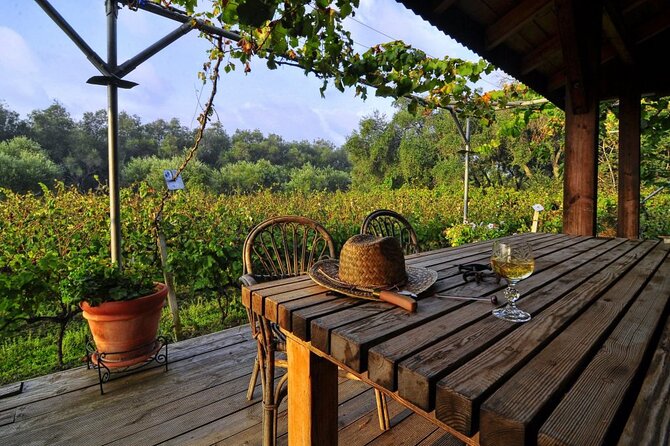 Winery Tour and Tasting in Corfu` with the Sommelier - Guided Walk Through the Winery Process