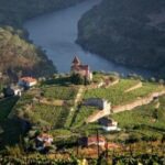 Winery Tour and Tasting in Douro Valley - In-Depth Exploration of Porto and Red Wine Production