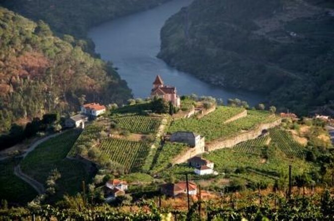 Winery Tour and Tasting in Douro Valley - In-Depth Exploration of Porto and Red Wine Production