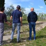 Winery Tour and Tasting of Garda Wines in Lazise - Exploring the Vineyard and Vineyard Practices