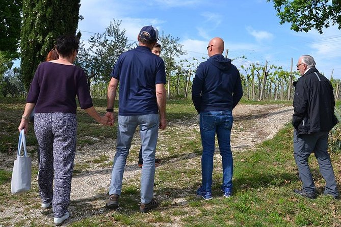 Winery Tour and Tasting of Garda Wines in Lazise - Exploring the Vineyard and Vineyard Practices