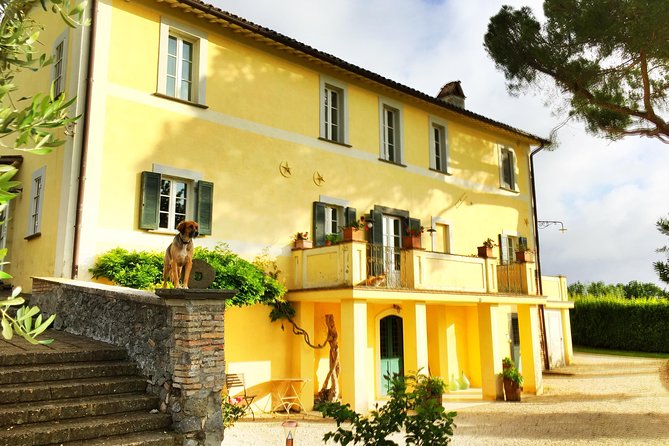 Winery tour and wine, cheese & charcuterie tasting - Walking Through the Vineyard and Understanding Growing Methods