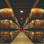 Winery Tour and Wine Tasting in Montepulciano d'Abruzzo - Visiting the Estate: What to Expect at the Cellars