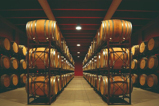 Winery Tour and Wine Tasting in Montepulciano d'Abruzzo - Visiting the Estate: What to Expect at the Cellars