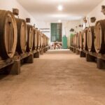 Winery Tour, Wine Museum, and Tasting in Gran Canaria - Exploring the Vineyards and Family Legacy