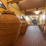 Winery Tour & Wine Tasting with Food near Livorno & Pisa - Visiting the Historic Tomb of the Etruscan Prince Warrior