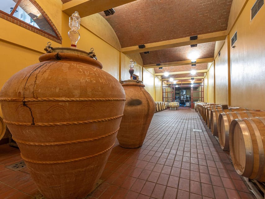 Winery Tour & Wine Tasting with Food near Livorno & Pisa - Visiting the Historic Tomb of the Etruscan Prince Warrior