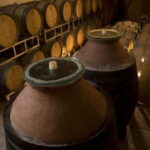 Winery Tour with Wine & Food Tasting near Riccione & Rimini - Visiting a Family-Owned Winery in Emilia-Romagna
