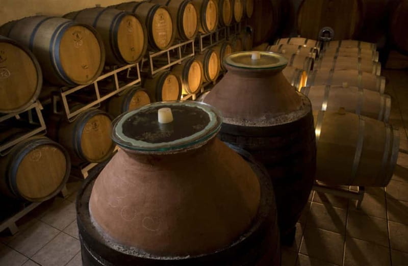 Winery Tour with Wine & Food Tasting near Riccione & Rimini - Visiting a Family-Owned Winery in Emilia-Romagna