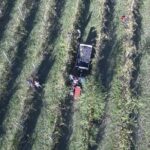 Winery tour with wine tasting from Assisi - Guided Tasting of Assisi DOC and Umbria IGT Wines