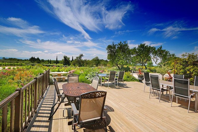 Winery Visit with Food and Wine in Carcassonne - Meet the Winemaker on a Full Vineyard Tour at O’Vineyards