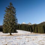 Winter Hike in Julian Alps - Starting Point and Transportation in Bled