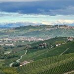 Winter Olympics 2026 Private UNESCO Wine Tour from Milan - Wine Tasting at a Traditional Enoteca