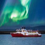 Winter Whale Watching & Northern Lights Cruise | Combo from Reykjavik - The Whale Watching Experience in Faxafloi Bay