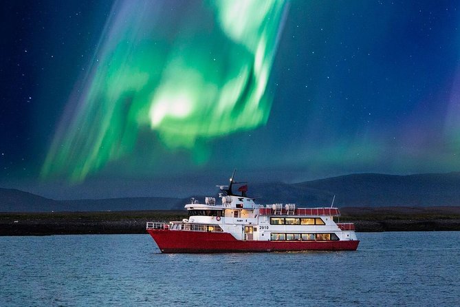 Winter Whale Watching & Northern Lights Cruise | Combo from Reykjavik - The Whale Watching Experience in Faxafloi Bay