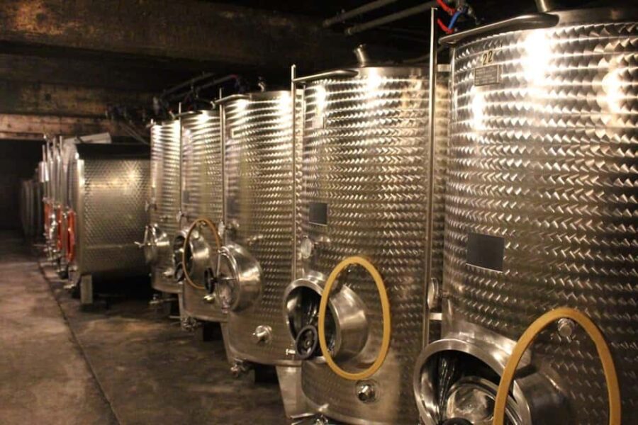 Wintrich: Wine tasting and winery tour - Guided Tour of the Winery and Wine Cellar