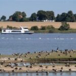 Wismar: Harbor Sightseeing Cruise - What Makes the Wismar Harbor Cruise Special