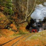 With the steam train through Transylvania- 8 Day - From Bucharest to Transylvania’s Historic Cities