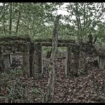 World War I Tour of Northern France; the Argonne Forest - The Significance of the Trenches and Bunkers