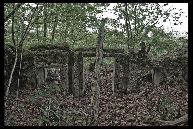 World War I Tour of Northern France; the Argonne Forest - The Significance of the Trenches and Bunkers