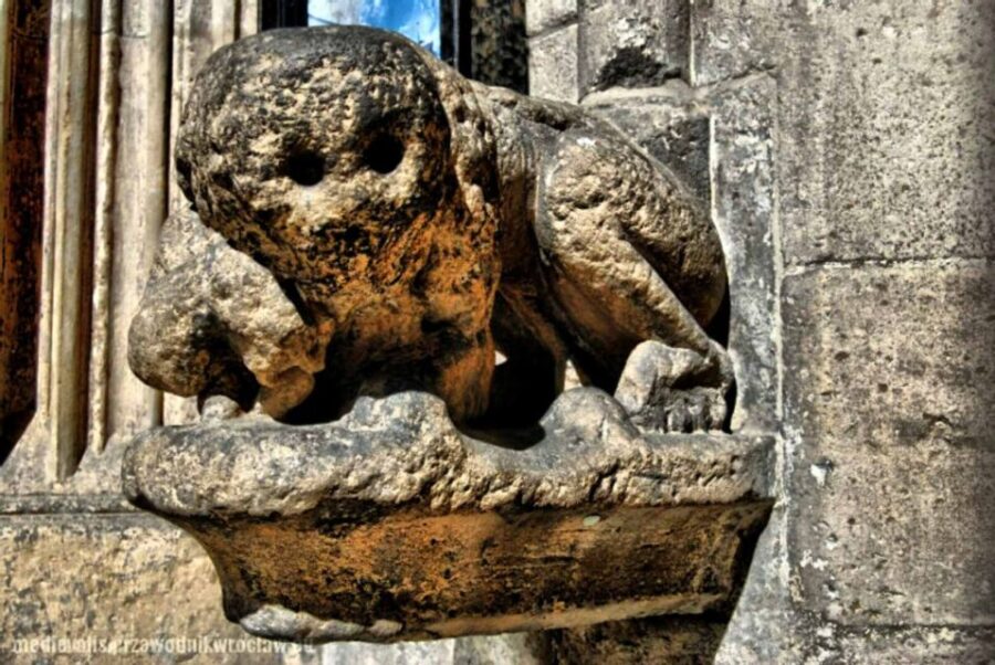 Wroclaw: Secrets of Wroclaw Walking Tour (2 hours) - The Mysteries of Wroclaw’s University and Witches Bridge