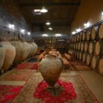 Yerevan: Gevorkian Winery Tour and Tasting Experience - Exploring the Production Facility