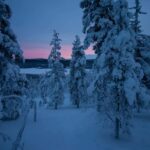 Ylläs: Guided Nordic Skiing Tour in Lapland Wilderness - The Itinerary and Trail Highlights